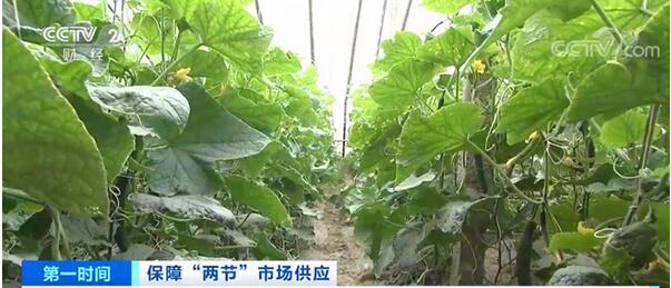 農(nóng)產(chǎn)品配送了解到農(nóng)業(yè)農(nóng)村部：全國(guó)菜價(jià)呈下降趨勢(shì)